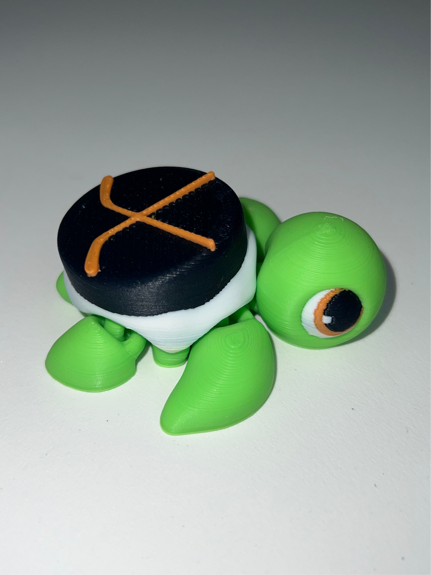 Hockey Turtle
