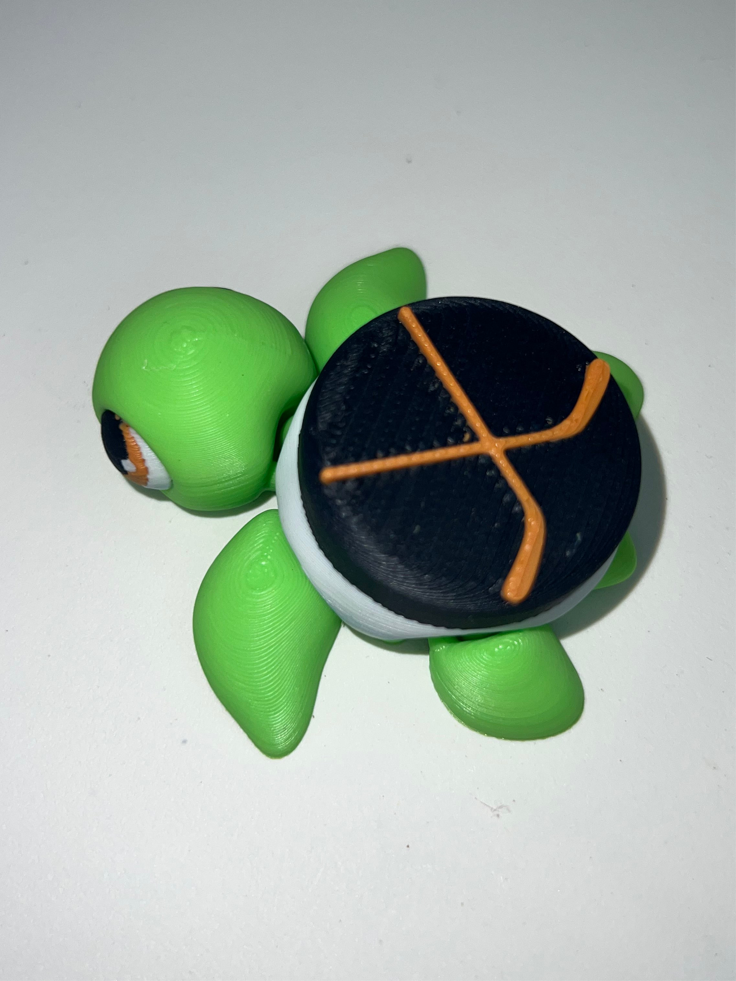 Hockey Turtle