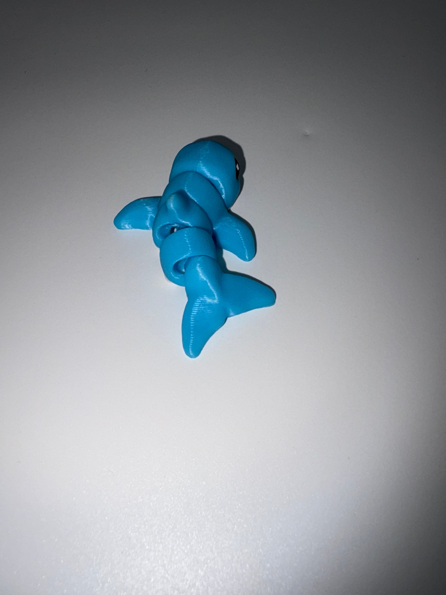 Dolphin