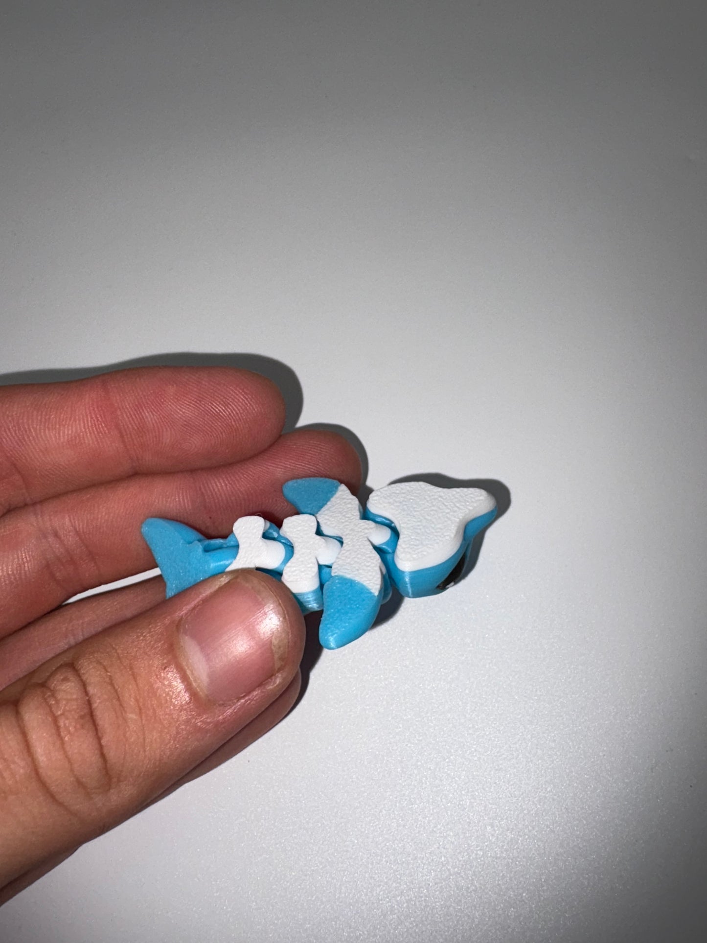 Dolphin