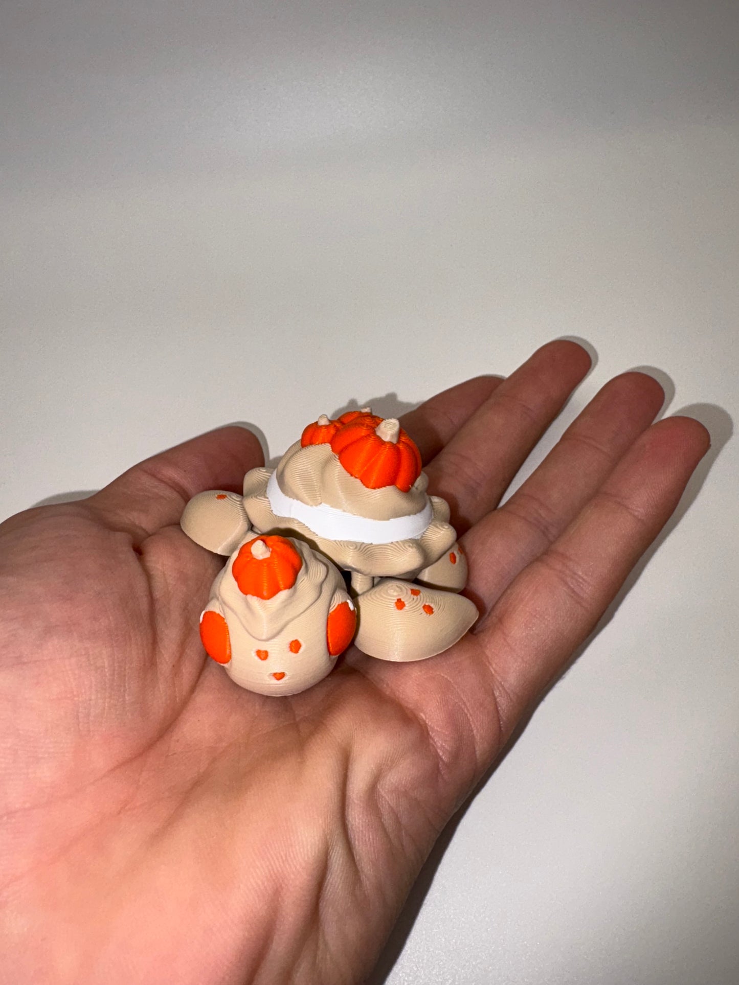 Pumpkin Pie Turtle