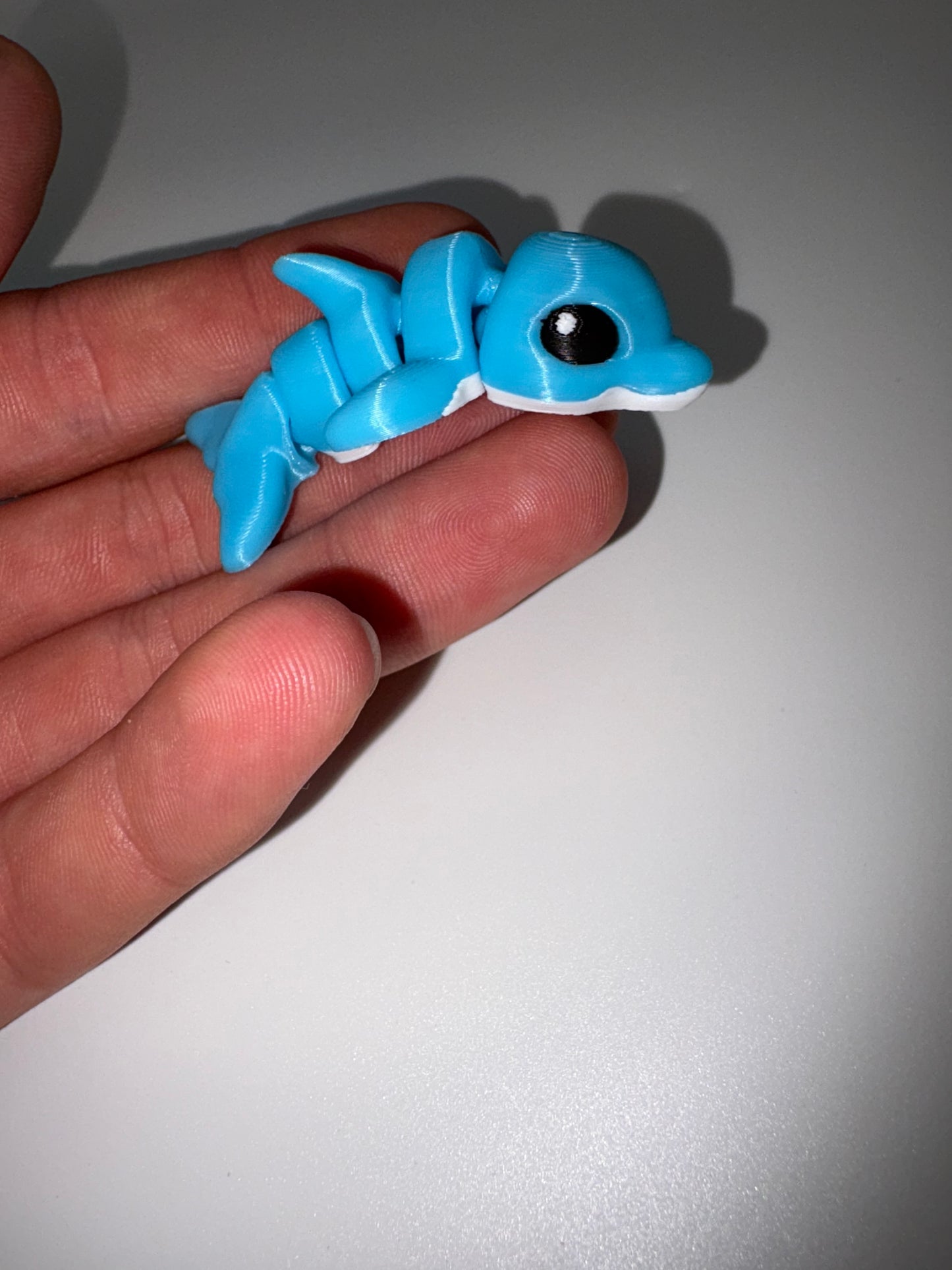 Dolphin