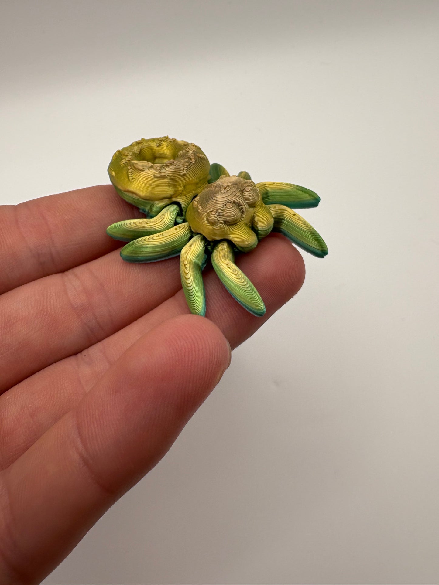 Donut Spider (candy color G)