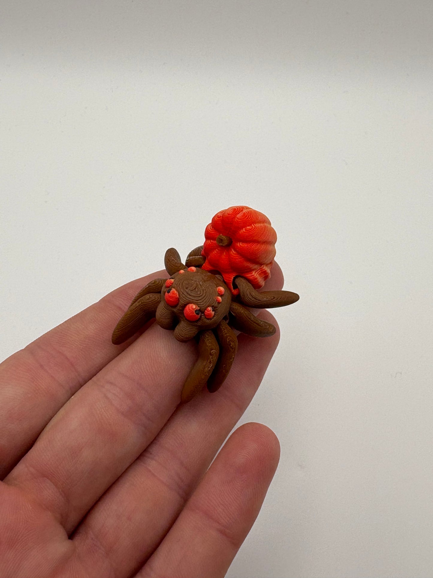 Tiny Pumpkin Spider