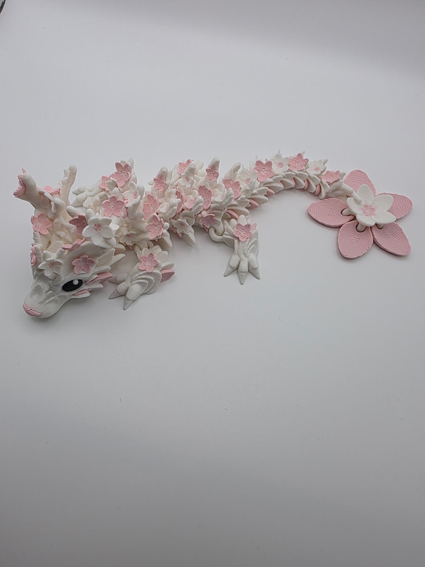 Baby Cherry Blossom Dragon
