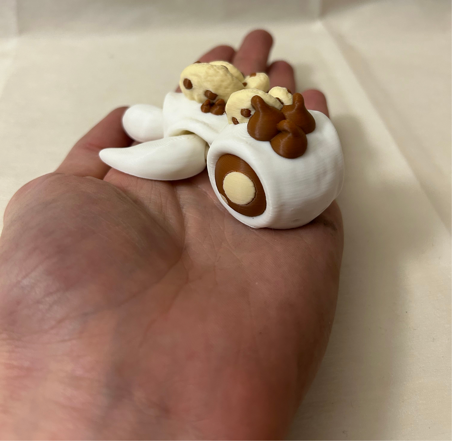 Chocolate chip turtle