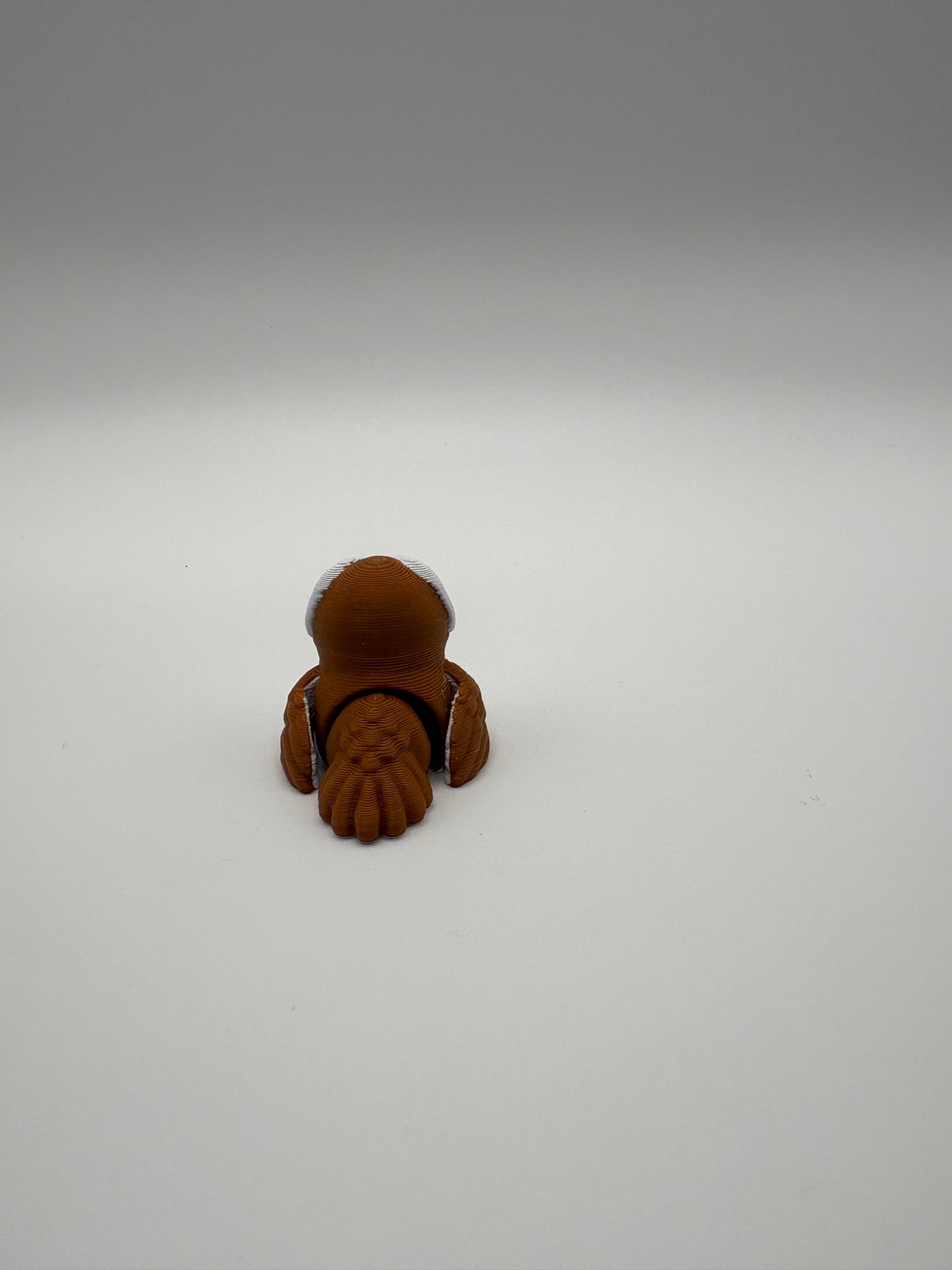 Tiny Owl