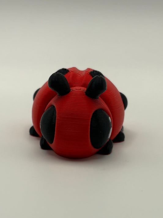 Ladybug