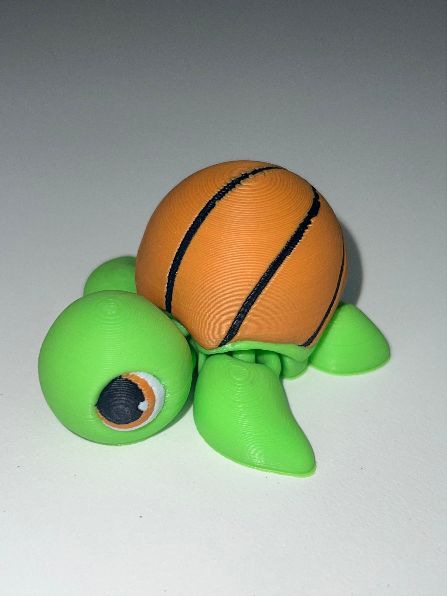 Basketball Turtles