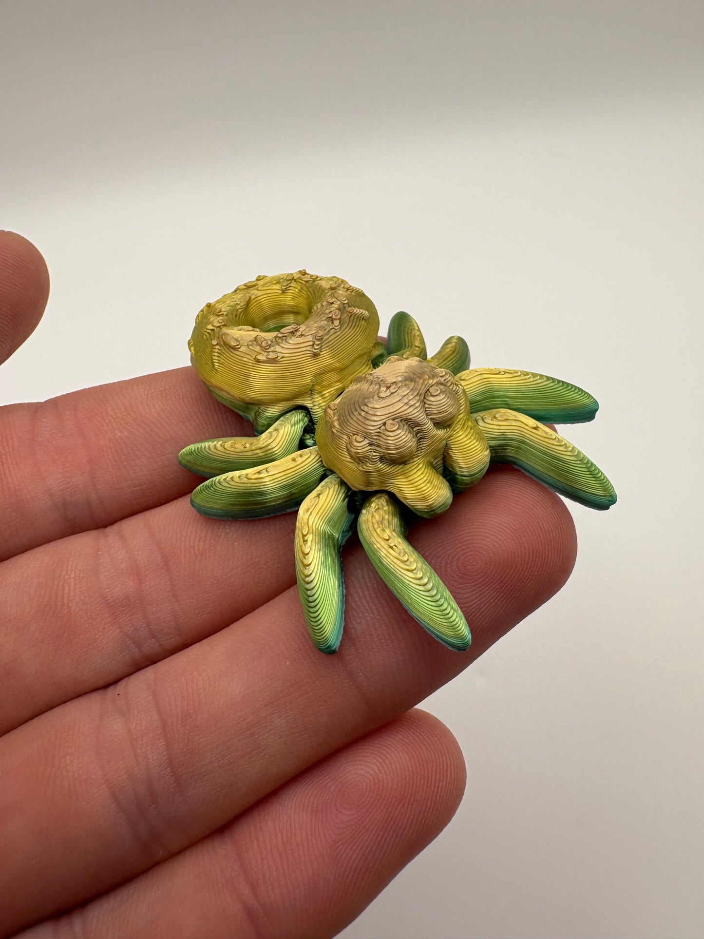 Donut Spider (candy color G)