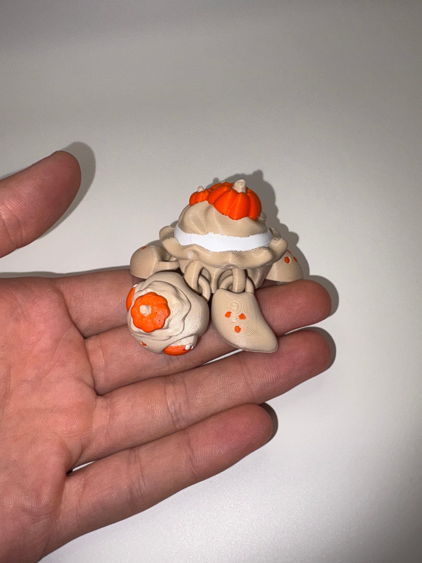 Pumpkin Pie Turtle