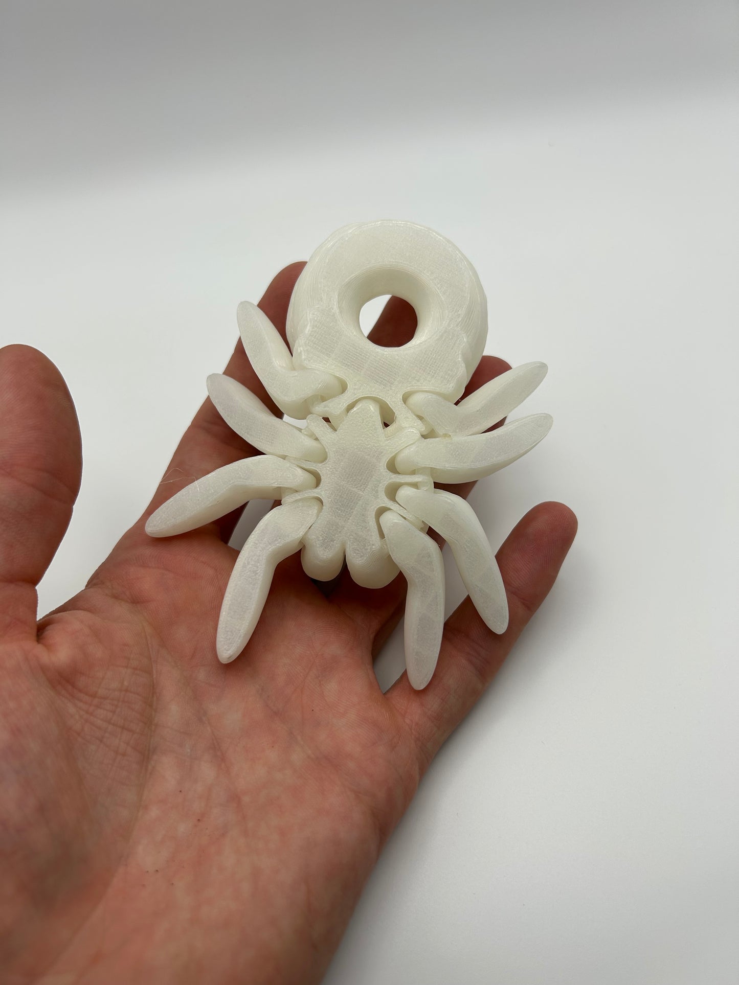 Rainbow Glow in the Dark Donut Spider