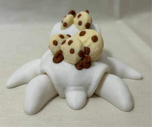 Chocolate chip turtle