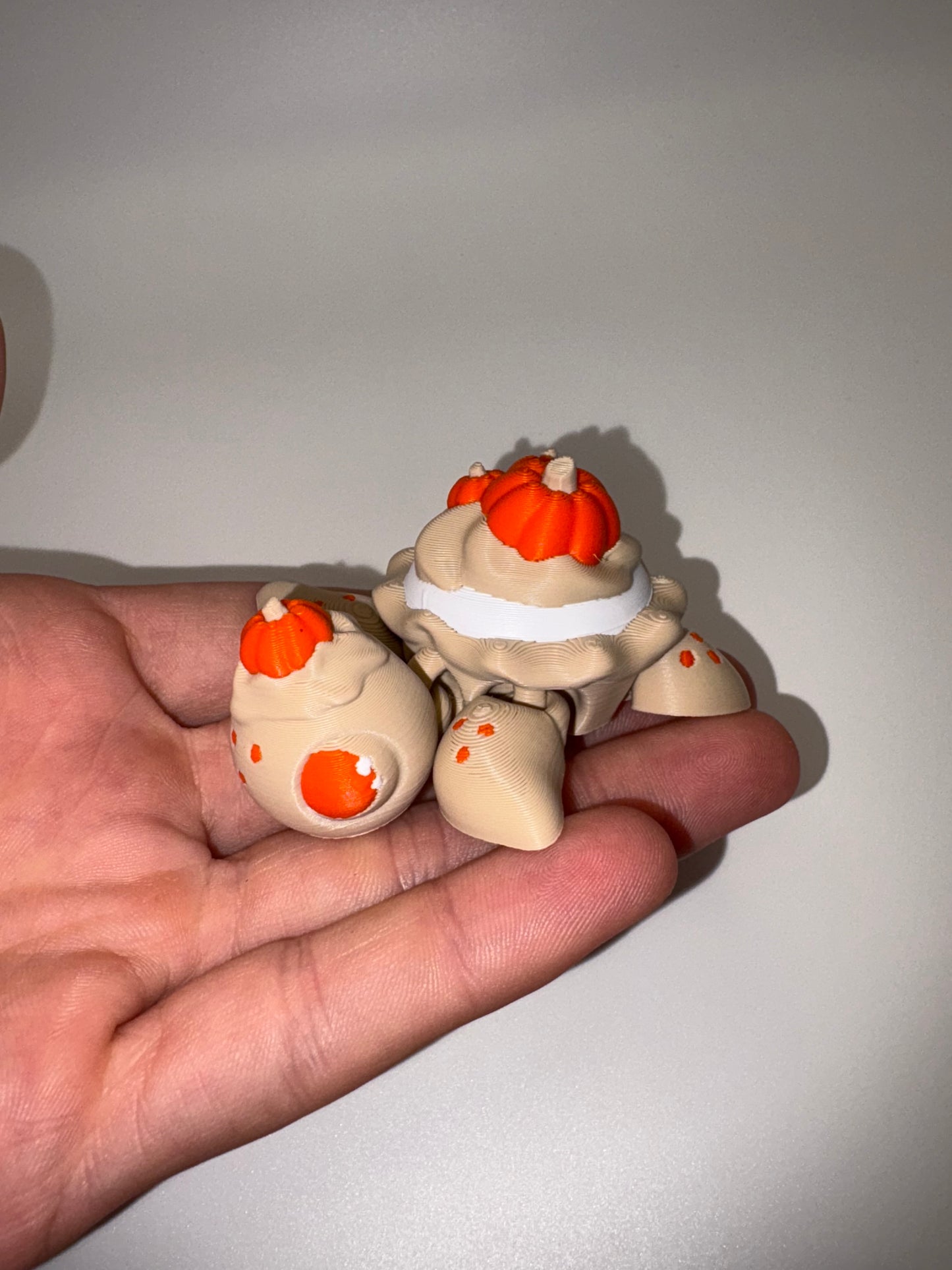 Pumpkin Pie Turtle