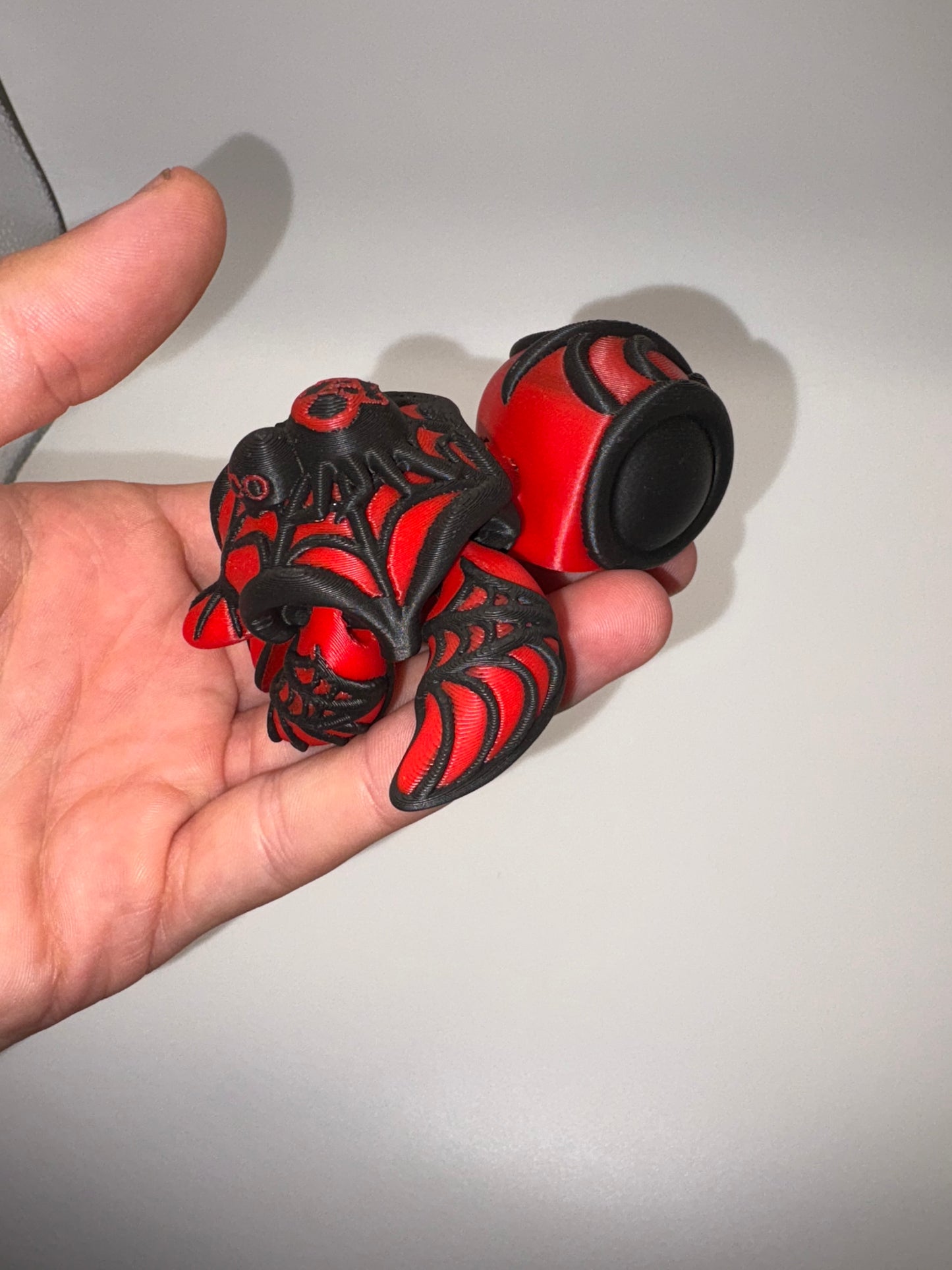 Spider Turtle