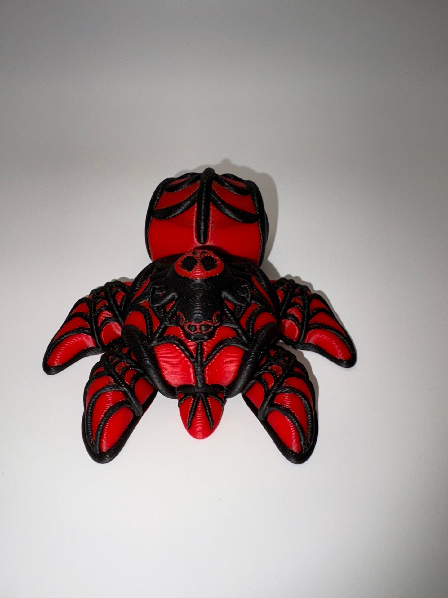 Spider Turtle
