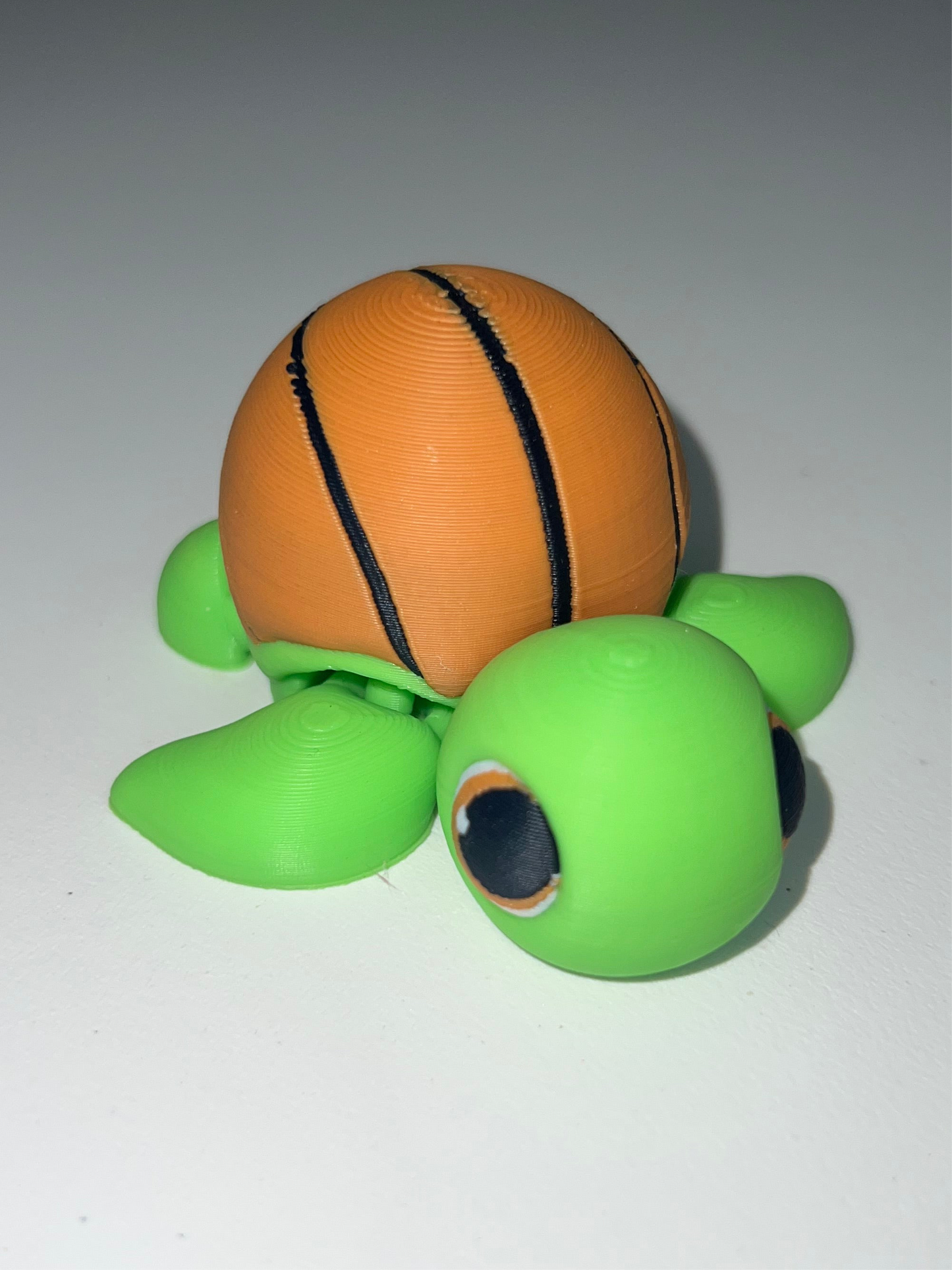 Basketball Turtles