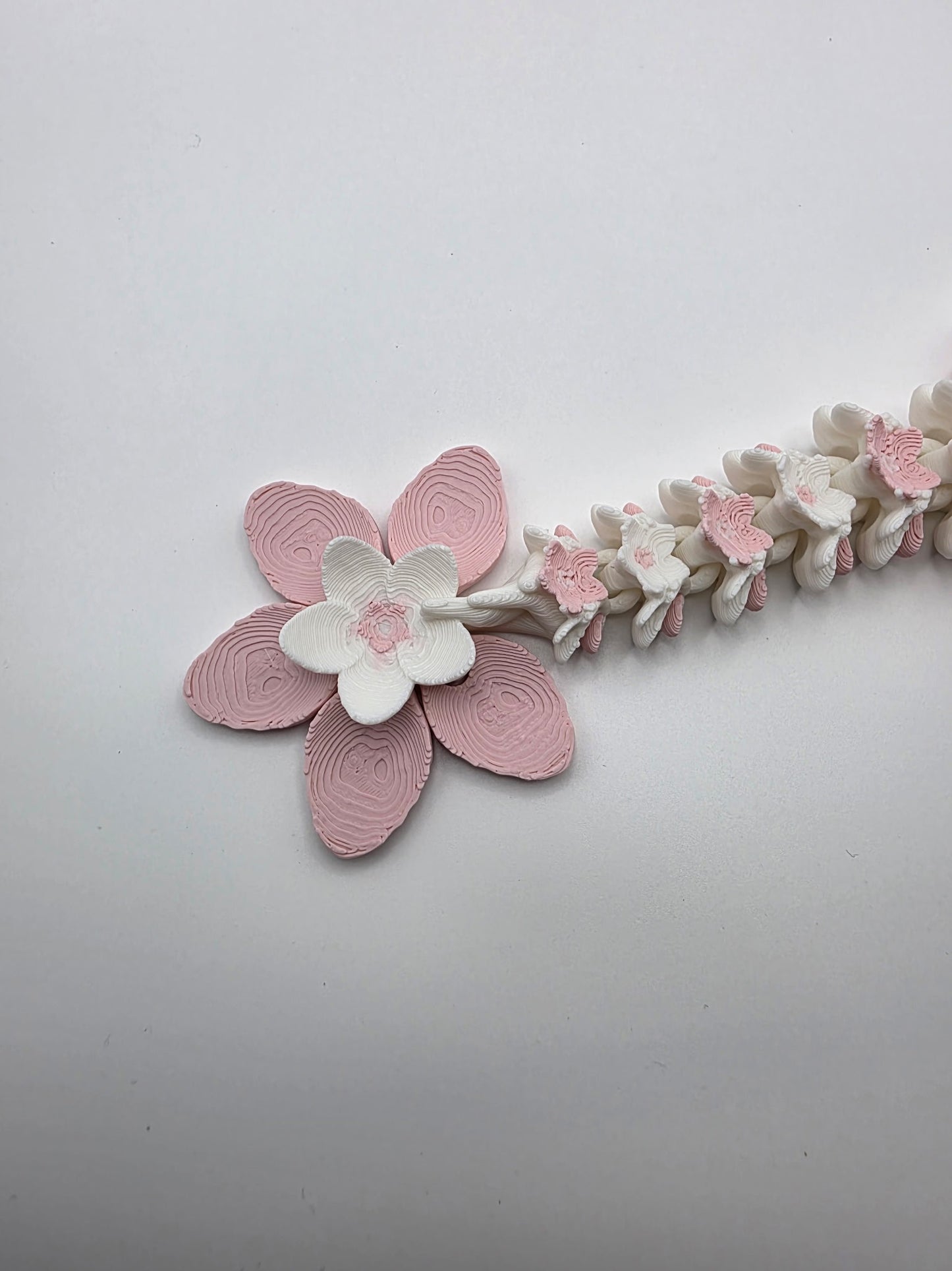 Baby Cherry Blossom Dragon