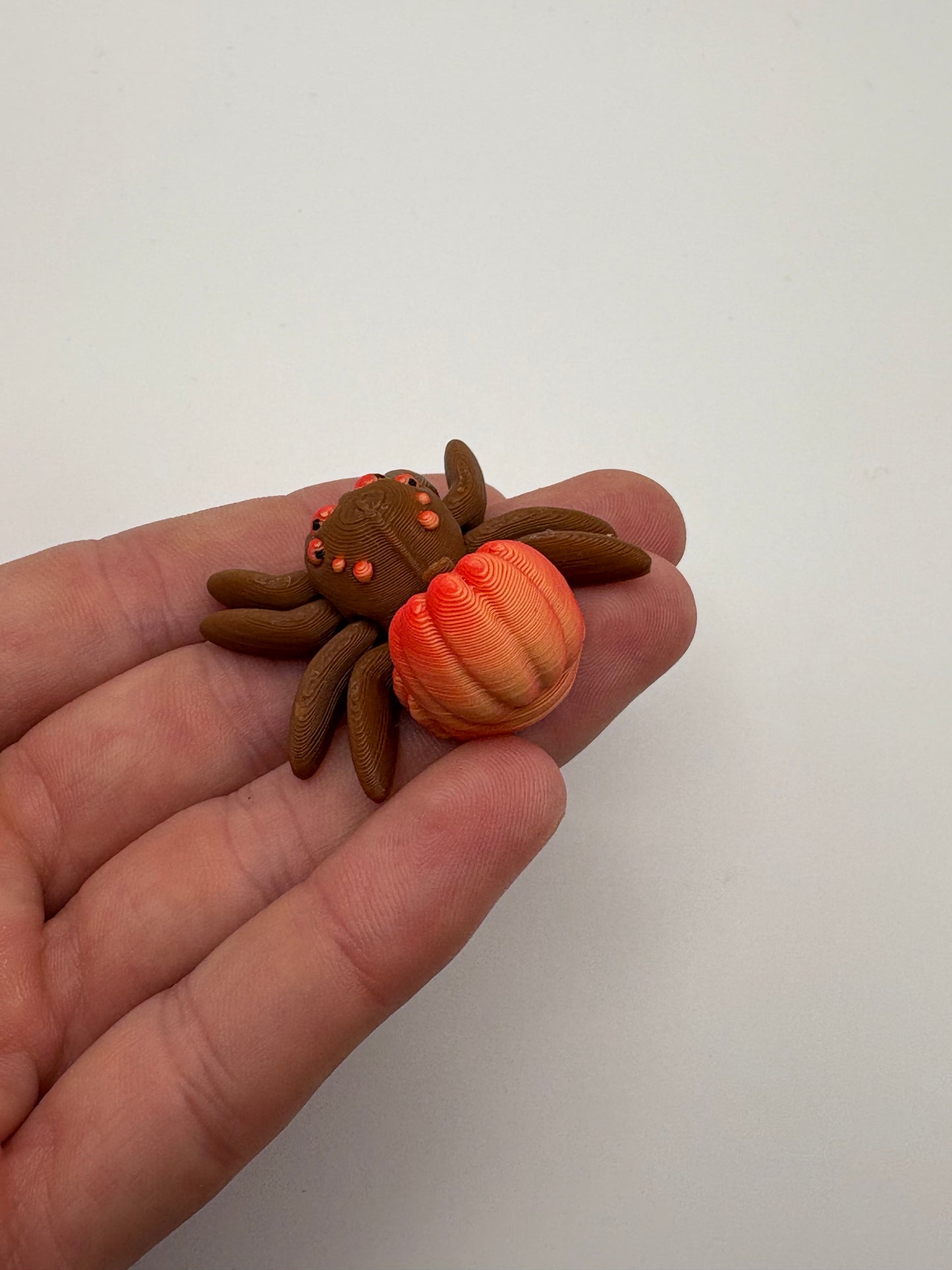 Tiny Pumpkin Spider