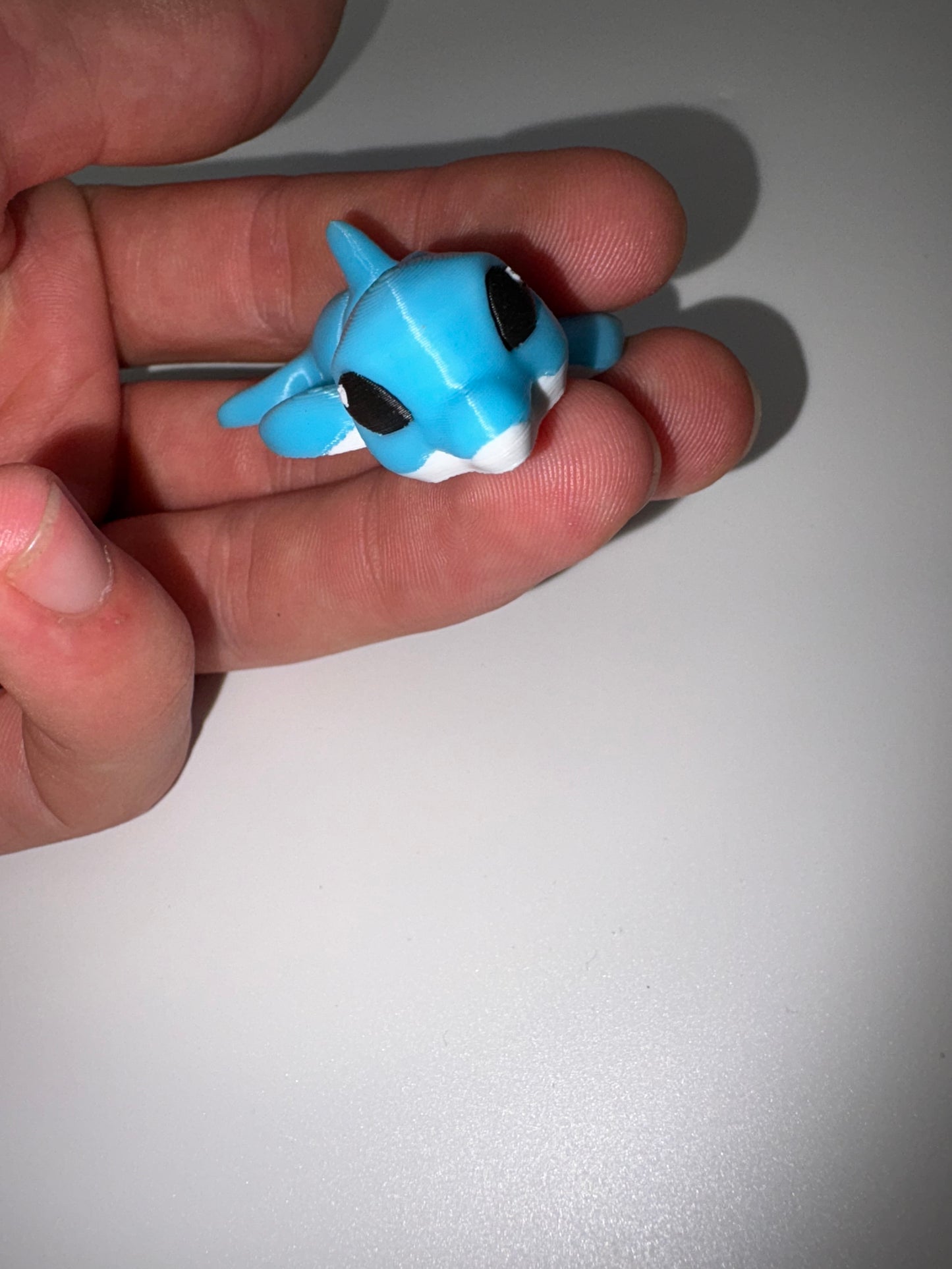 Dolphin