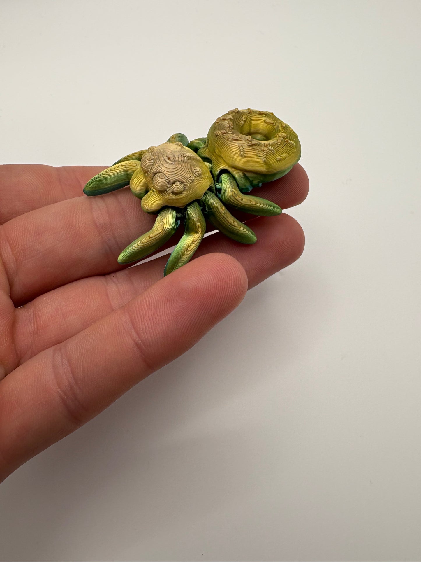 Donut Spider (candy color G)
