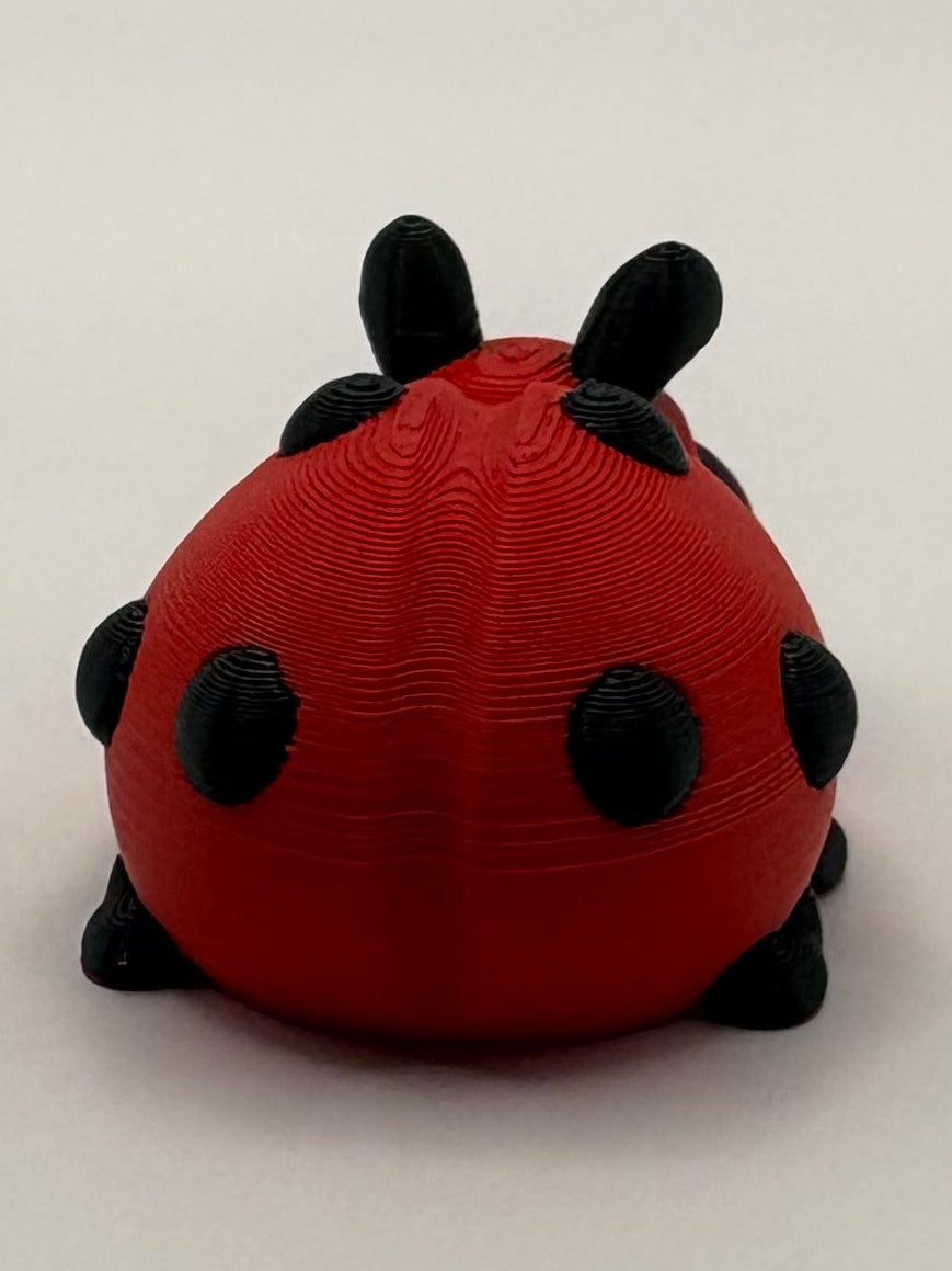 Ladybug