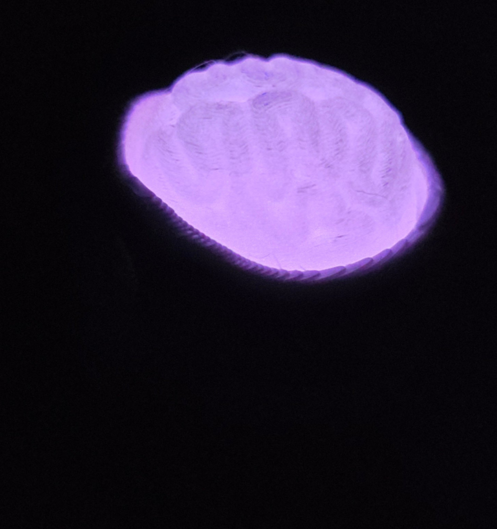Small brain clicker keychain (glow in the dark)