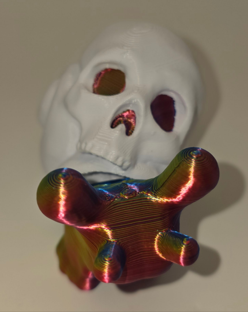 Skull shelled snails
