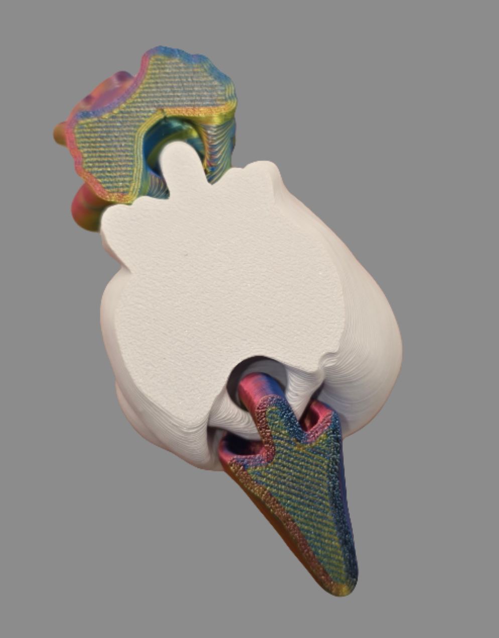 Skull shelled snails