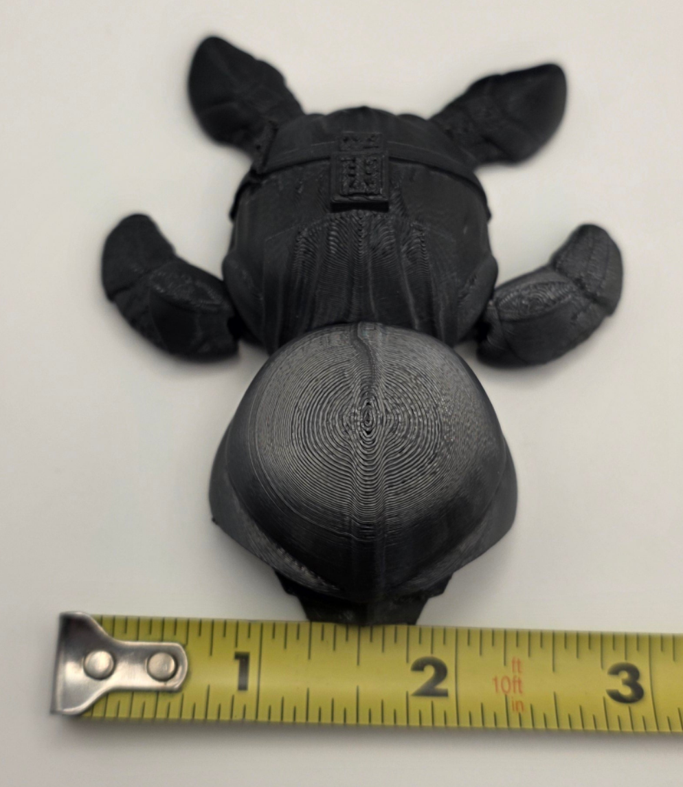 Darth Vader Turtle