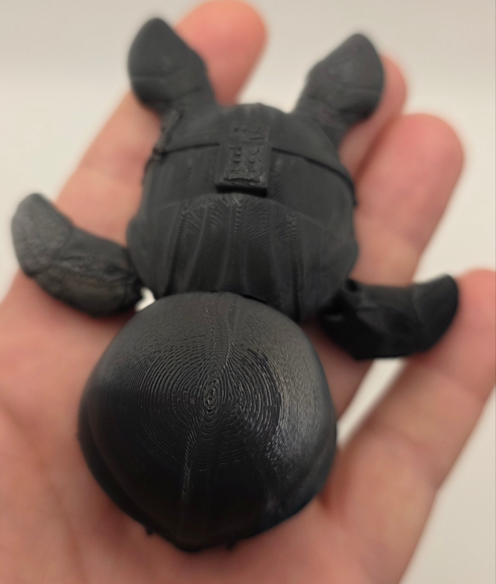 Darth Vader Turtle