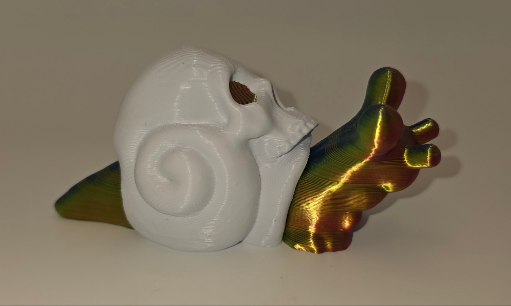 Skull shelled snails