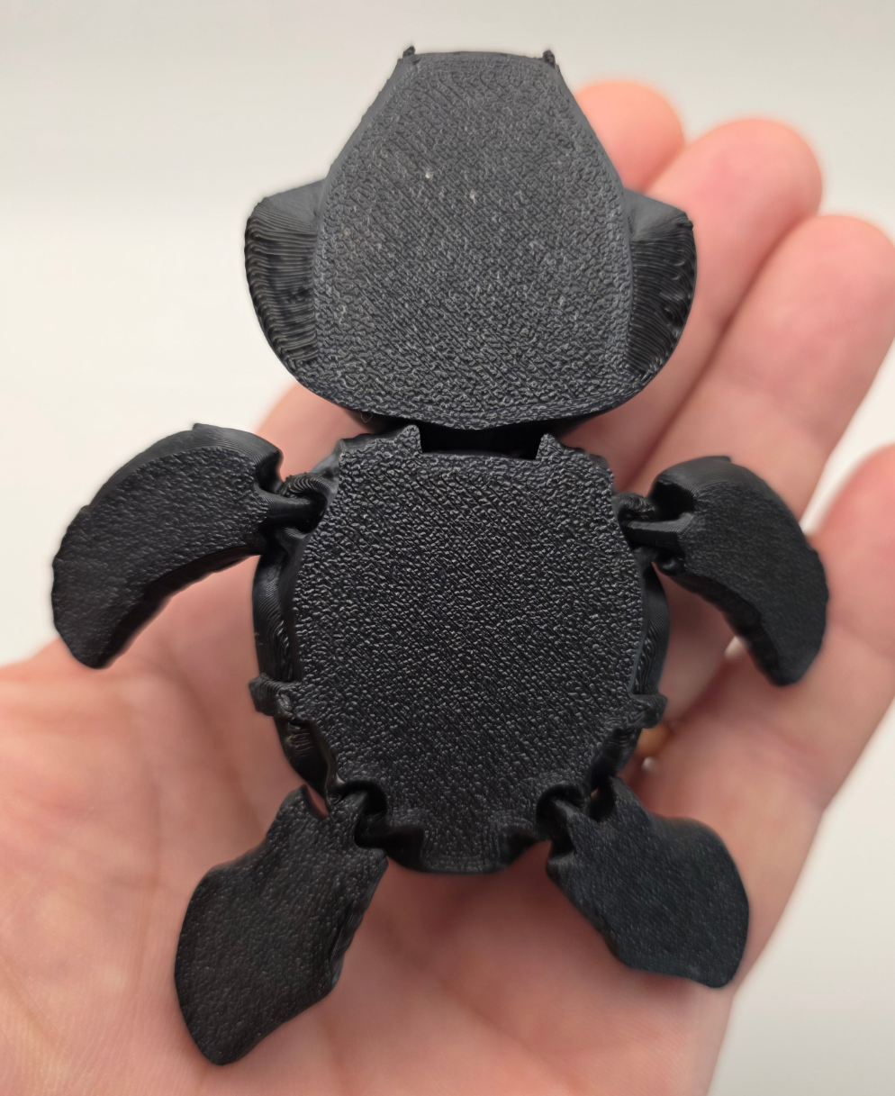Darth Vader Turtle