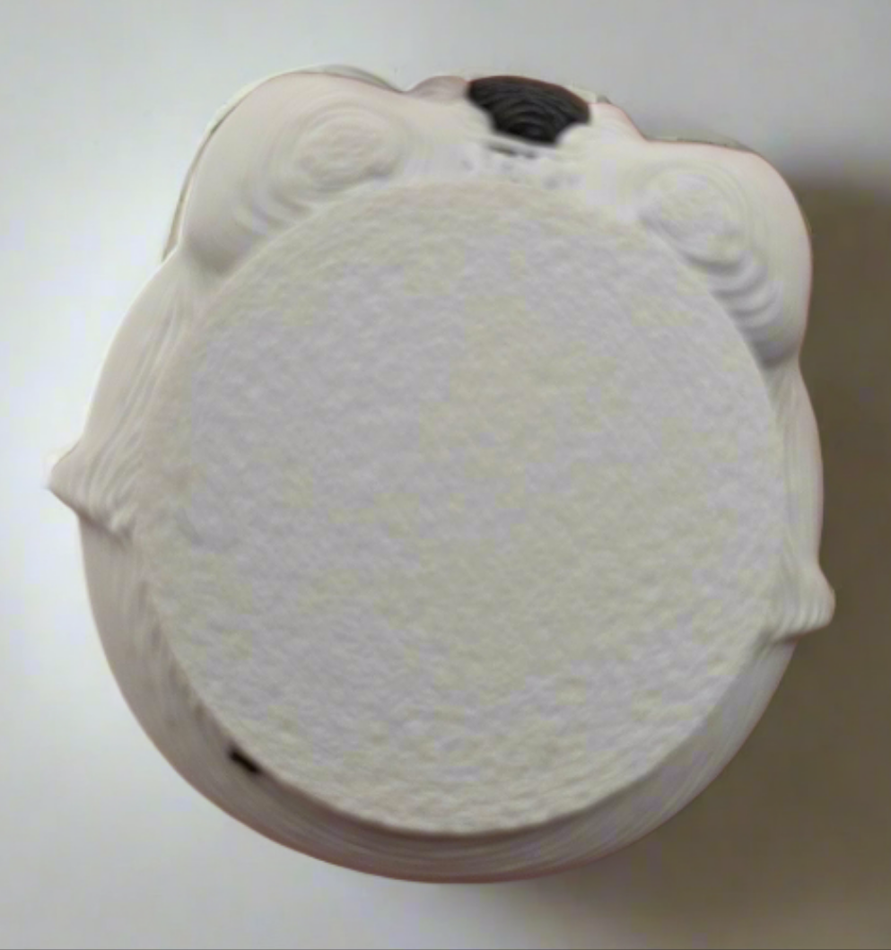 Stormtrooper head