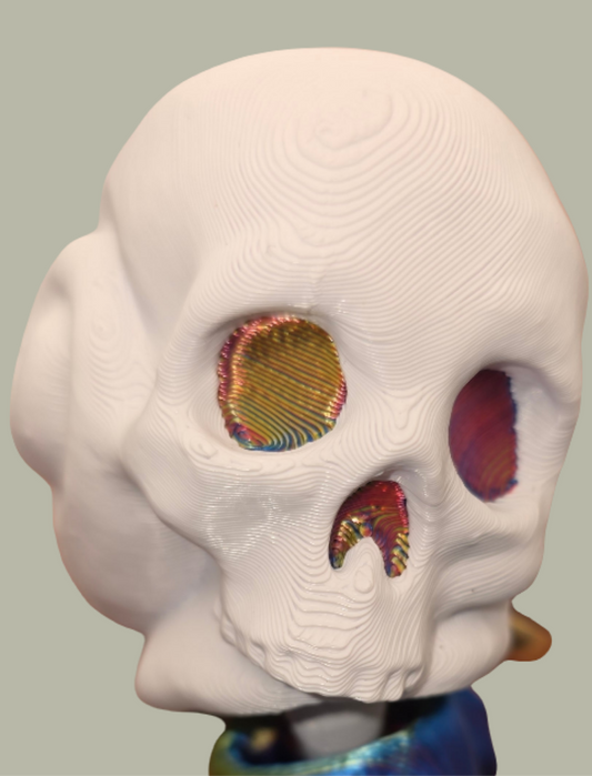 Skull shelled snails