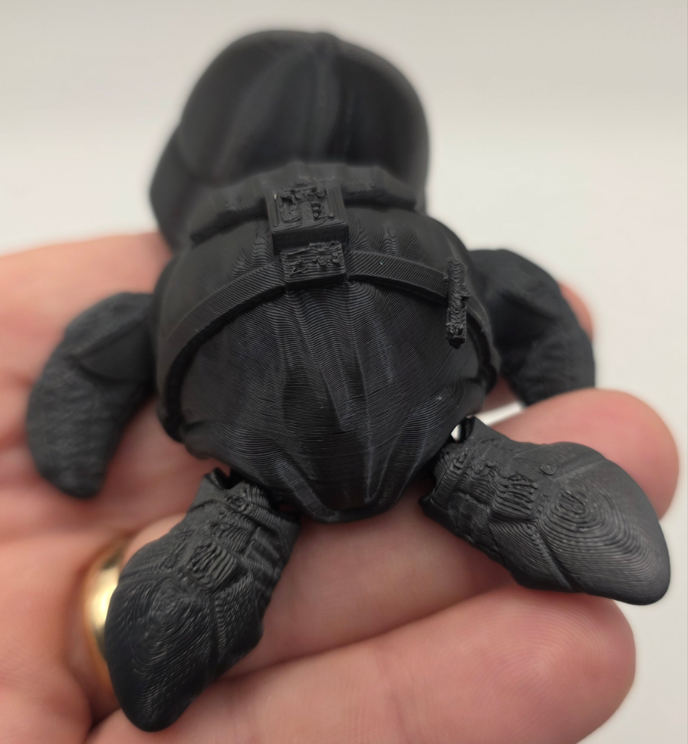 Darth Vader Turtle