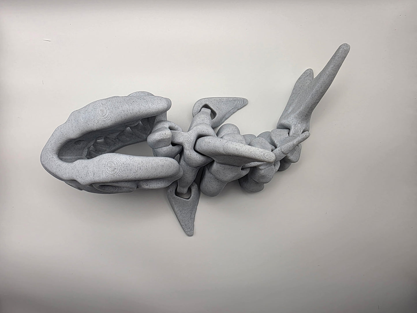 Jumbo Skeleton Shark