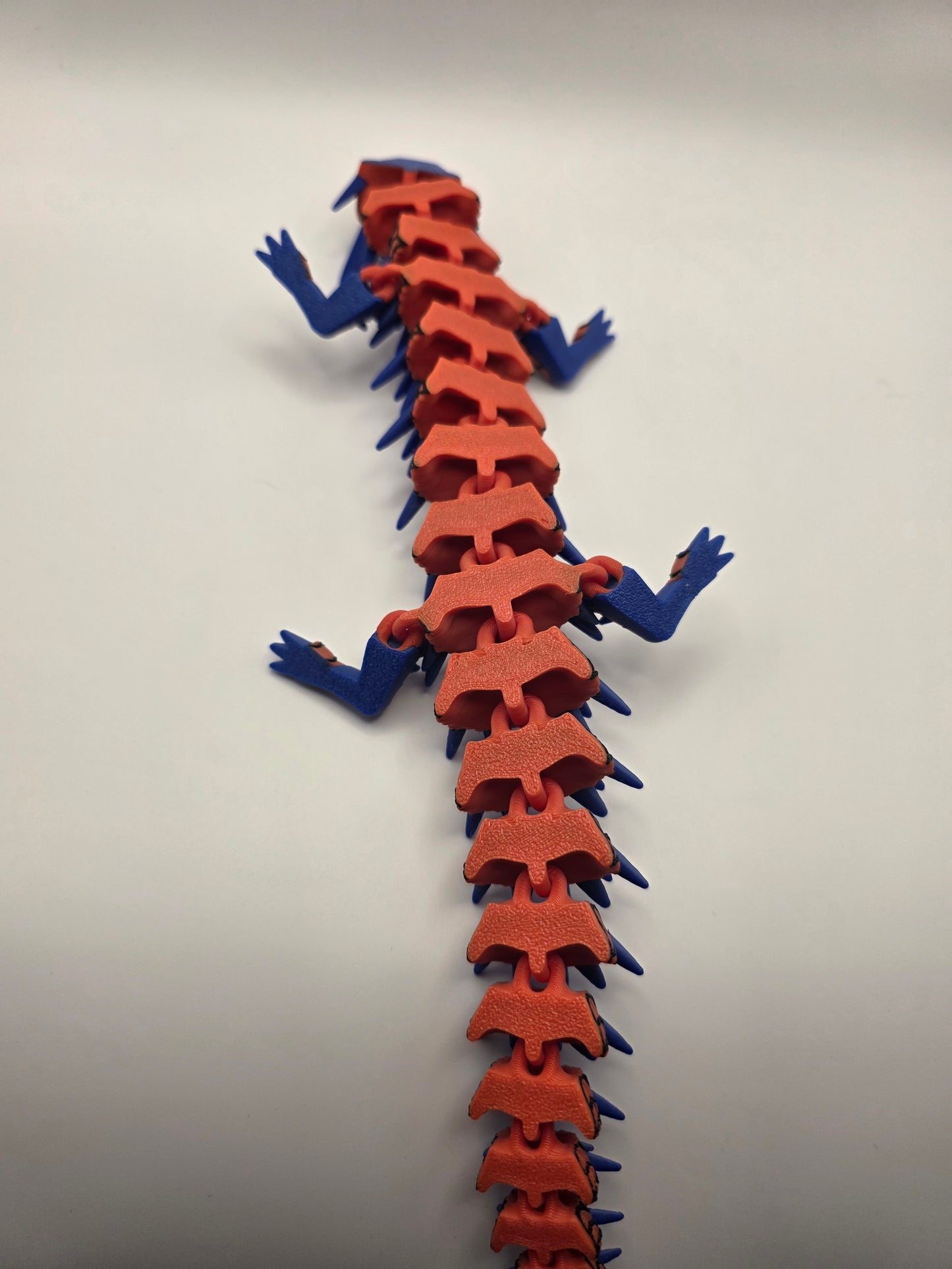 Spider dragon