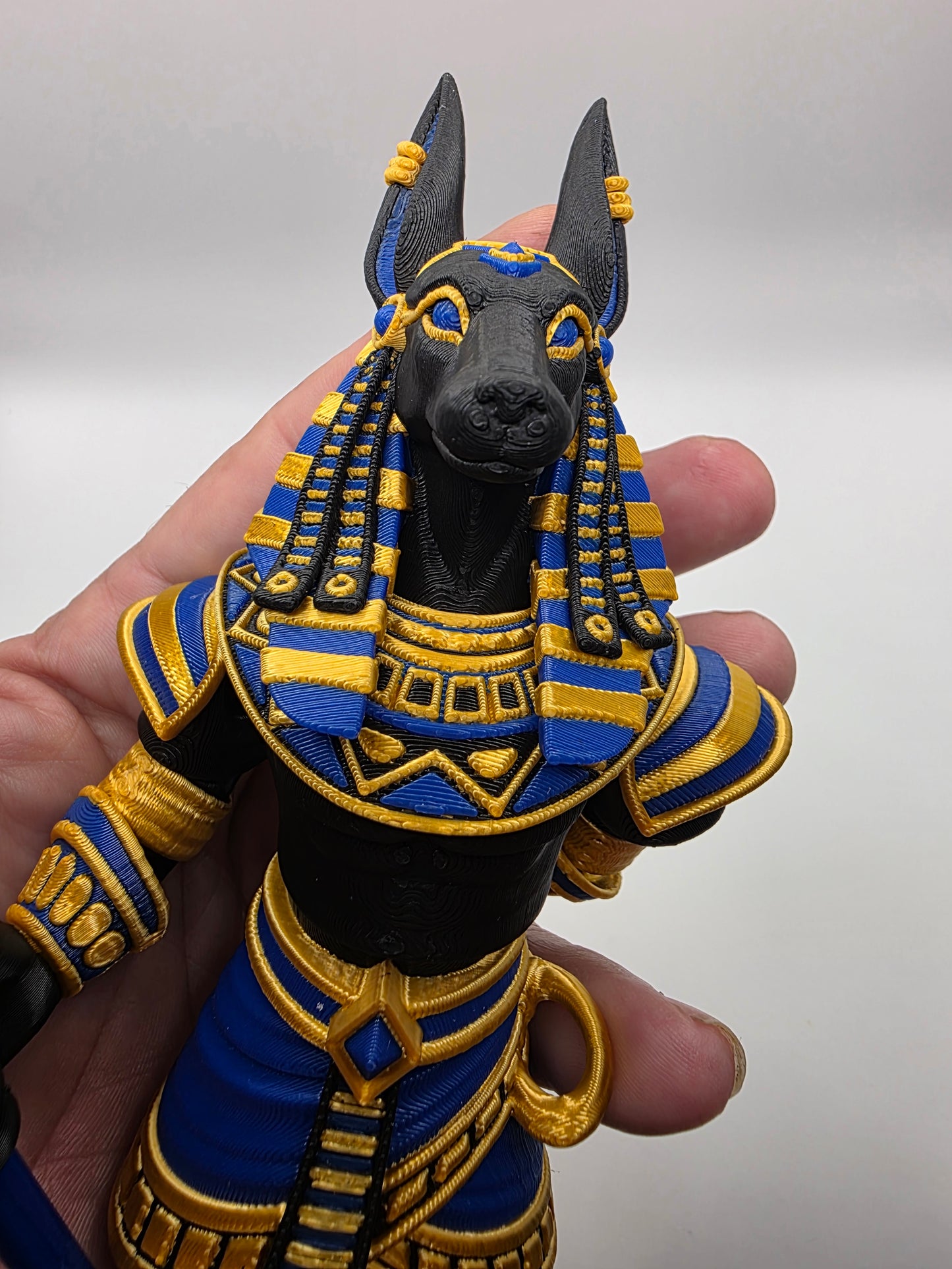 Jumbo Anubus