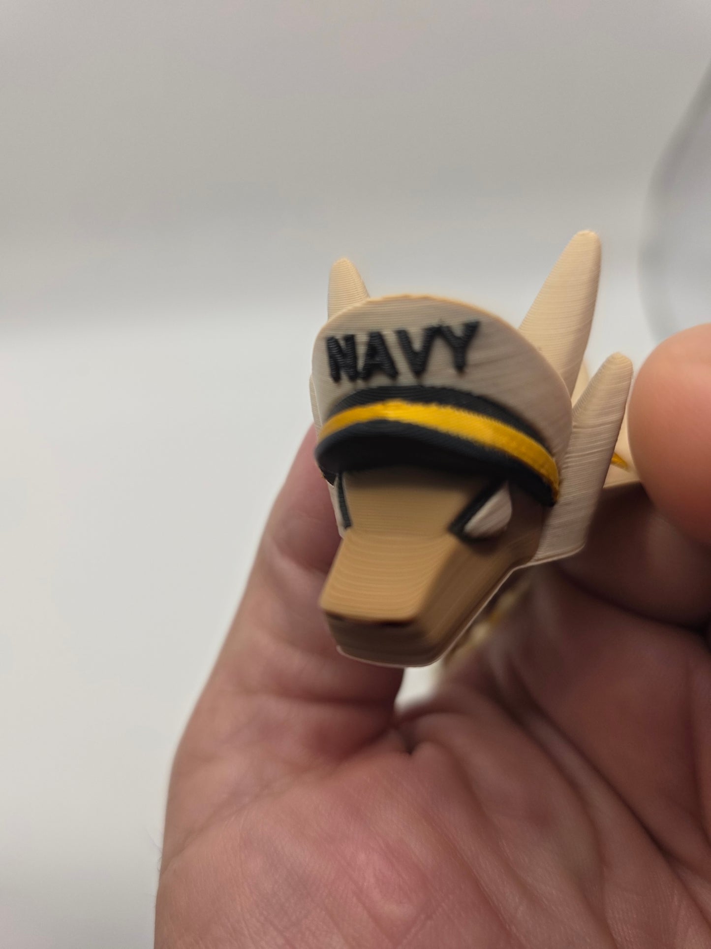 Navy dragons