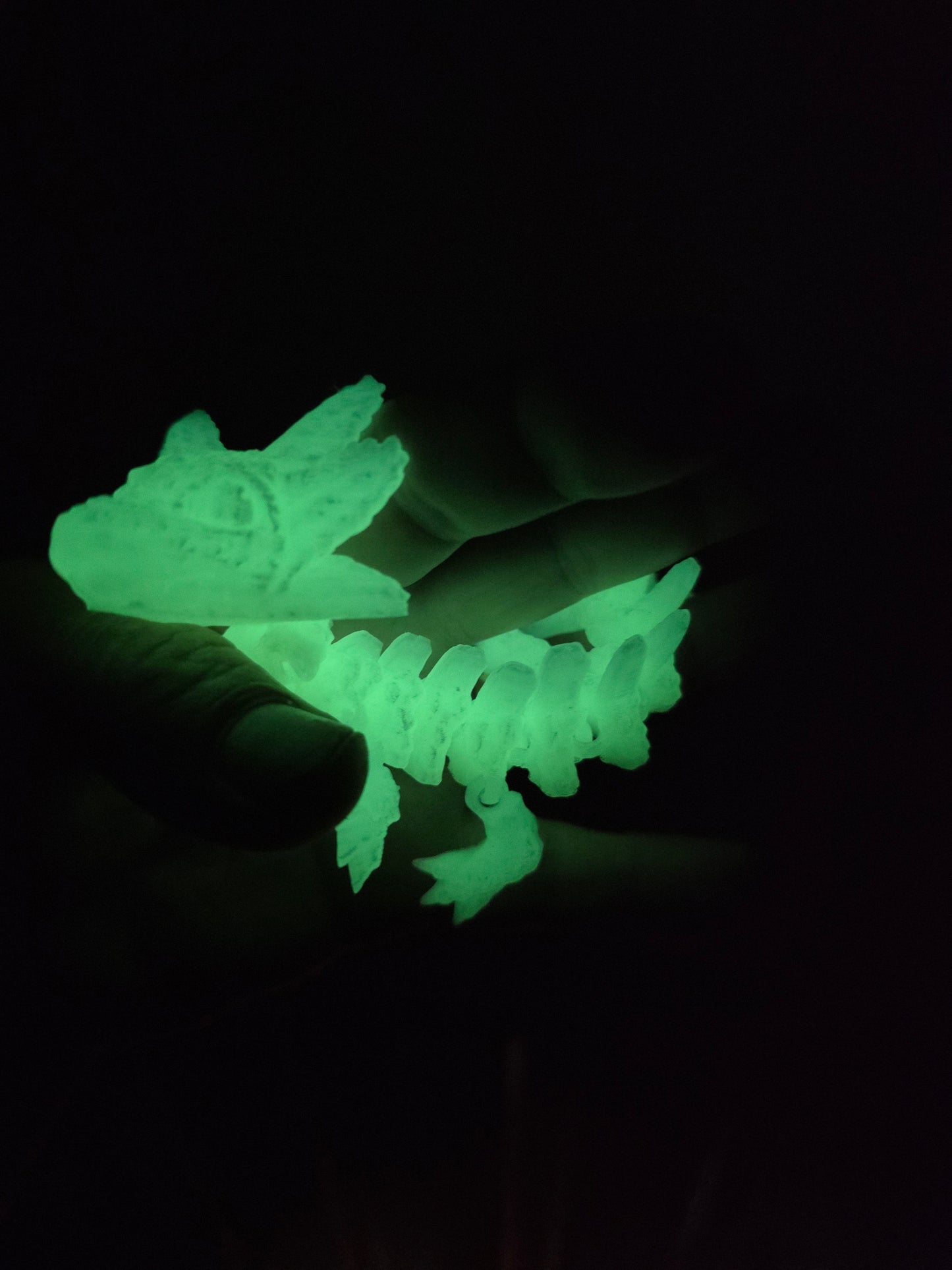 Baby Axolotl (glow in the dark) green