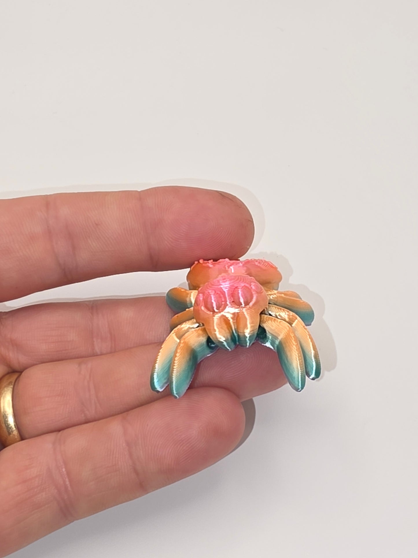 Donut Spider (candy color P)