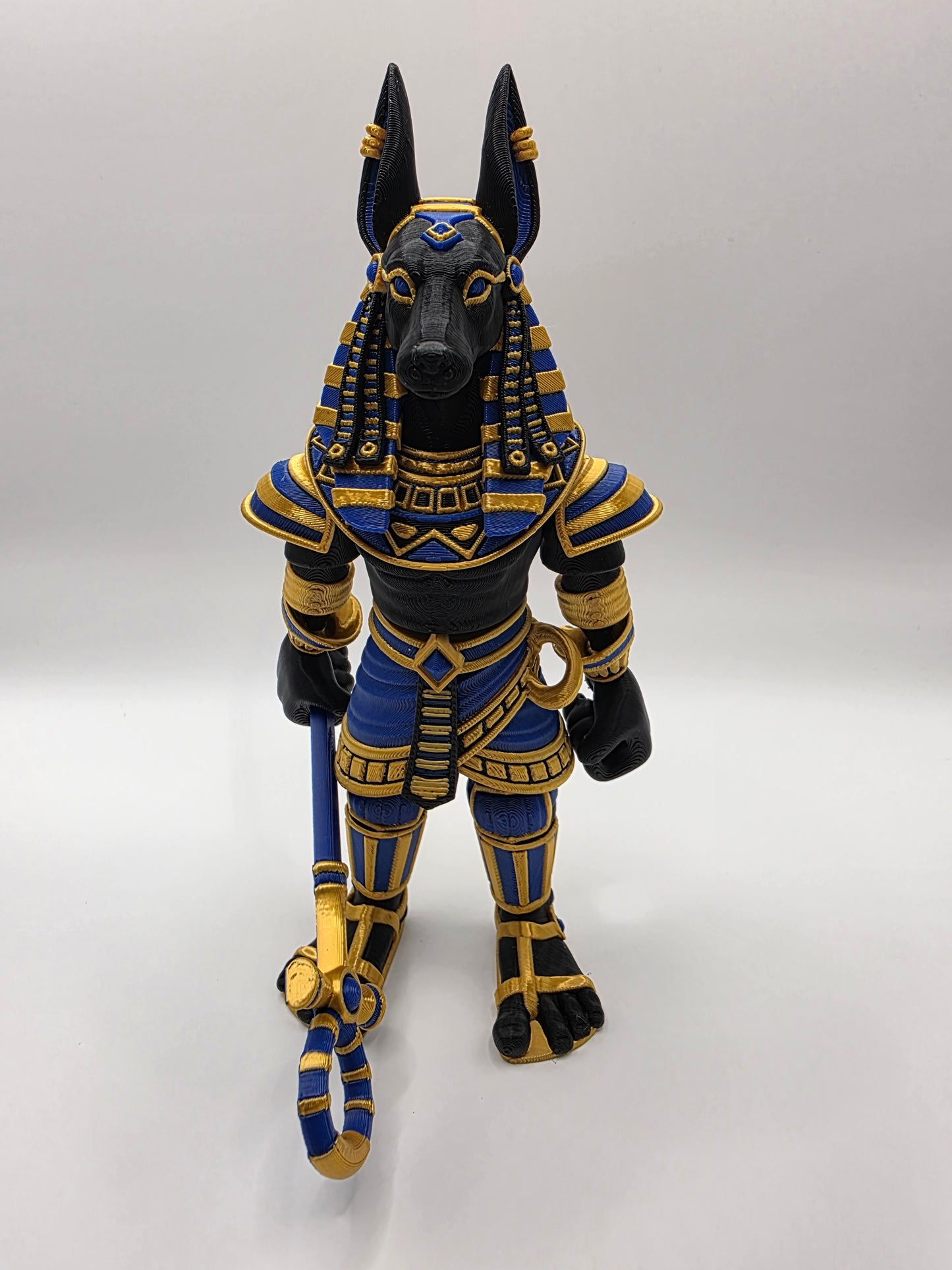 Jumbo Anubus