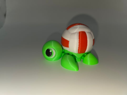 Volleyball turtles