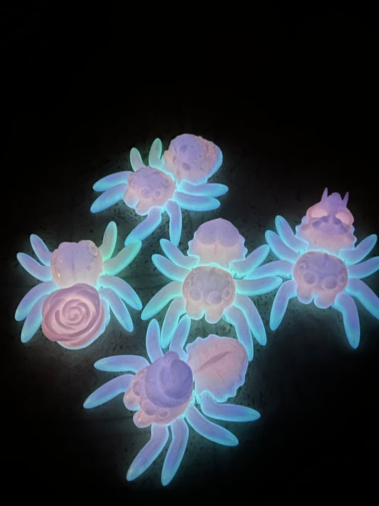 Mushroom Rainbow Glow in the Dark Spider