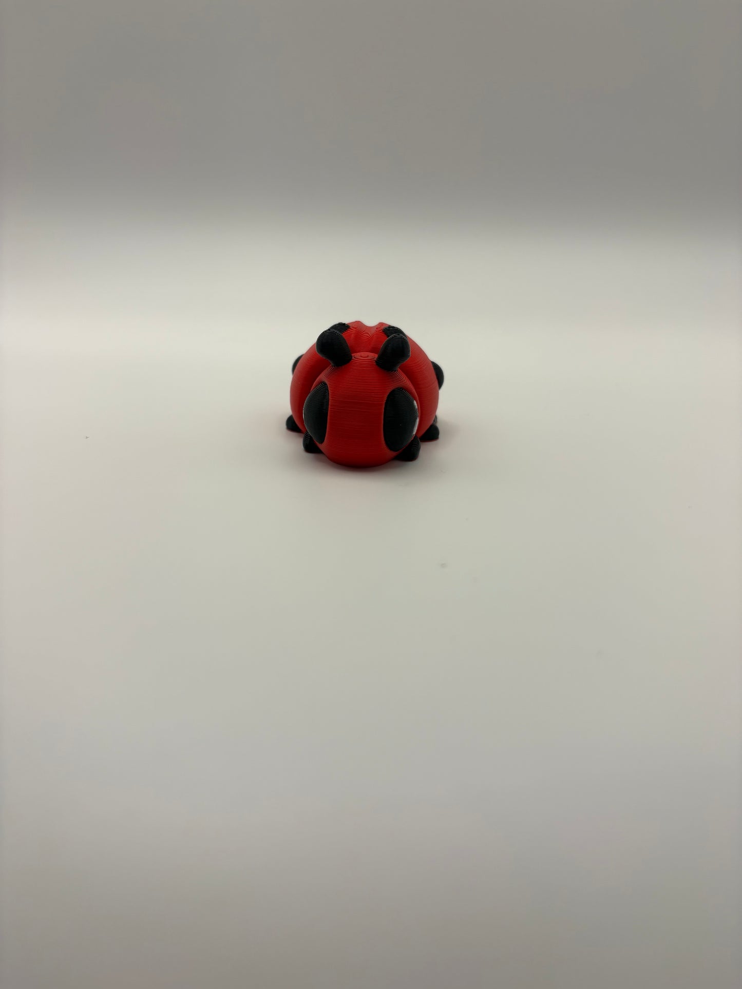 Ladybug