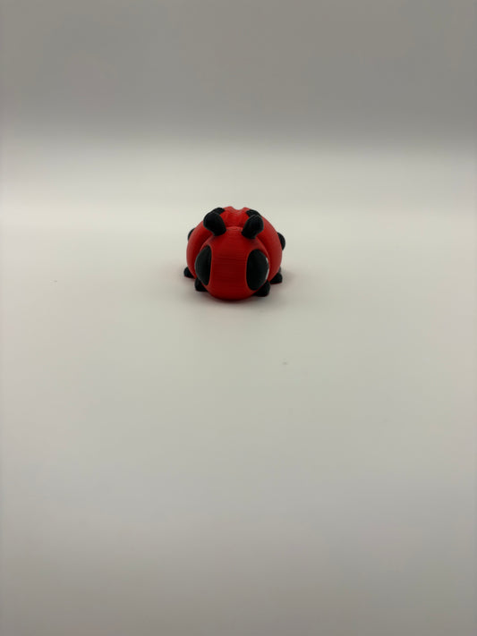 Ladybug