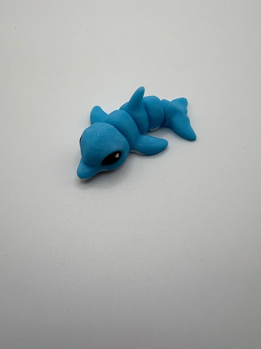 Dolphin