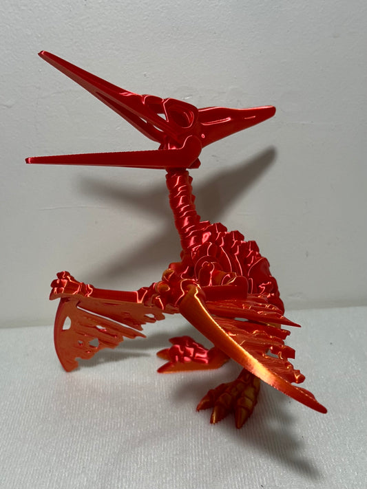 Pterodactyl Skeleton