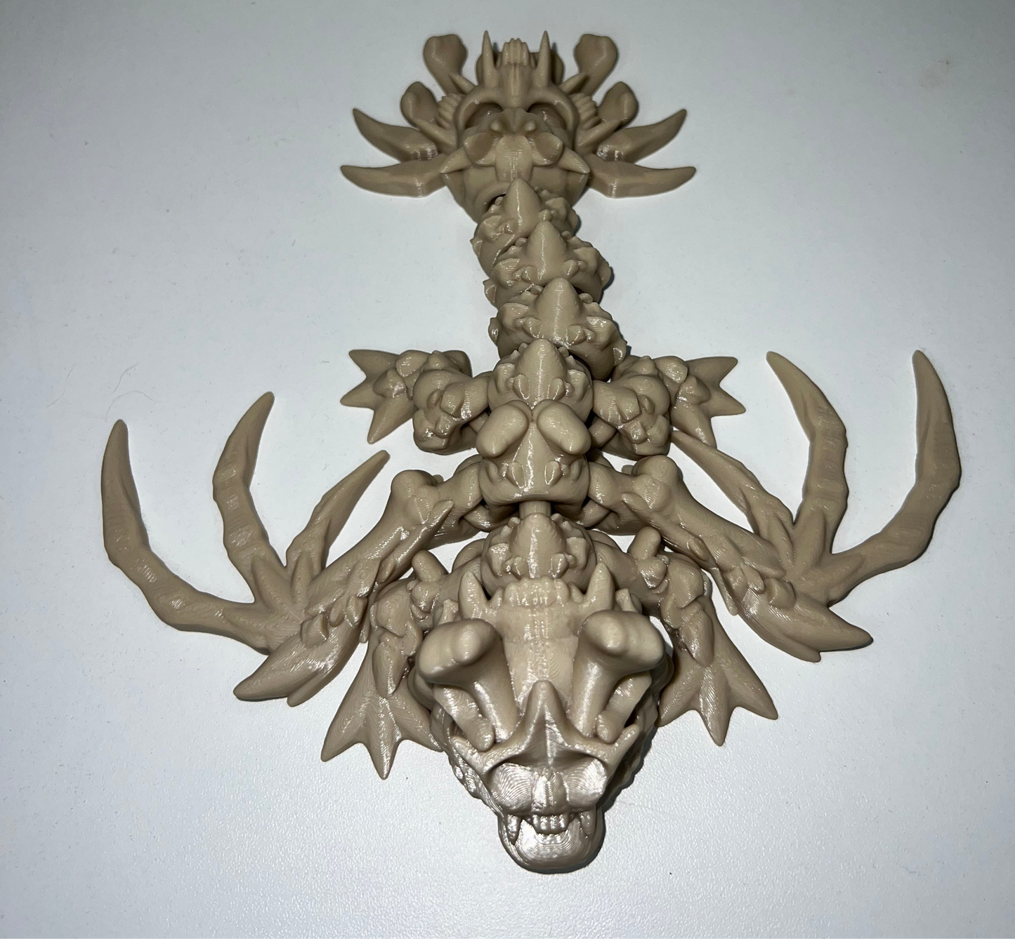Hollow Dragon